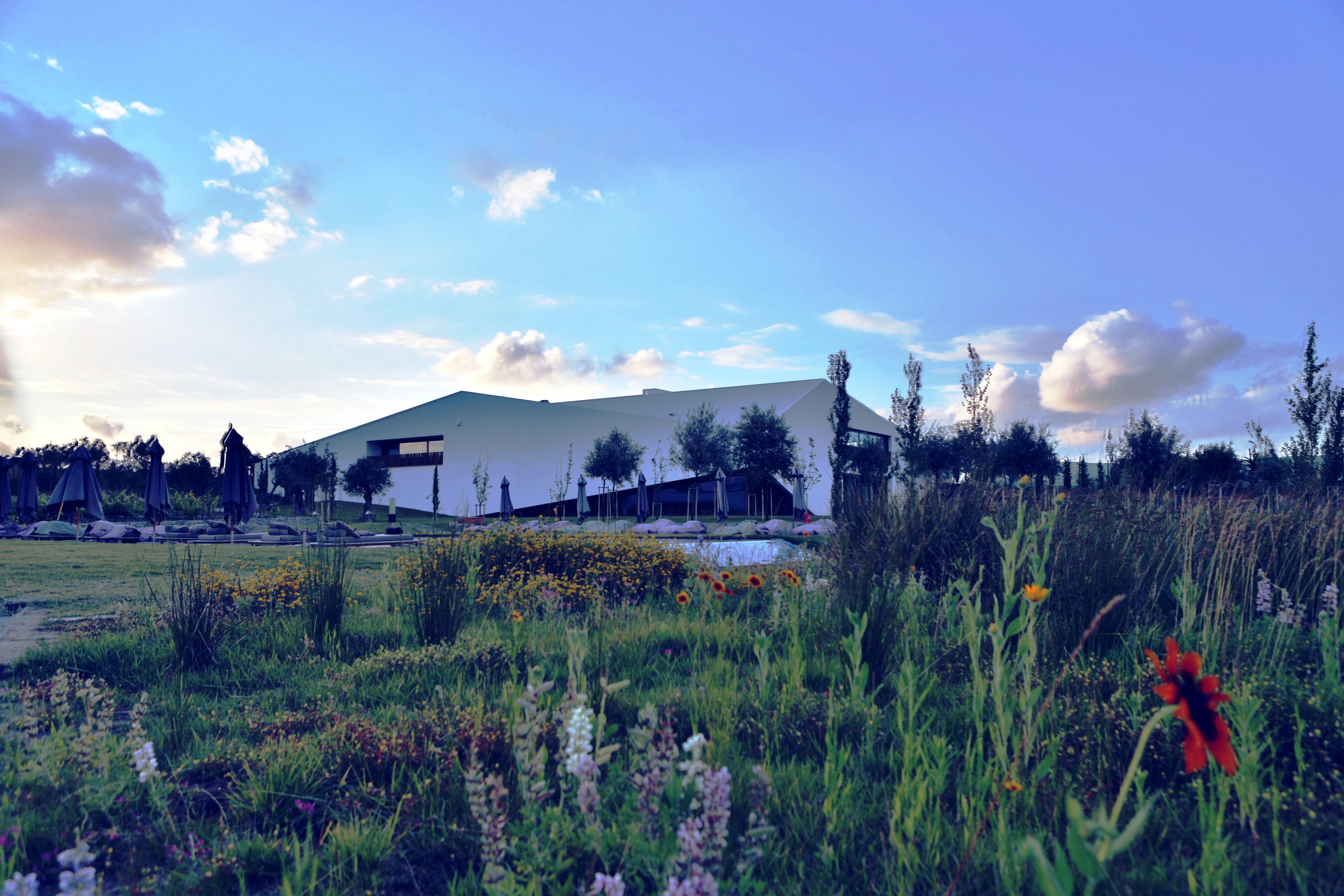 L'And Vineyards - Relais & Chateaux Montemor-o-Novo Exterior foto
